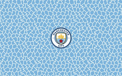 维基体育热评-克罗地亚下一个莫德里奇在哪